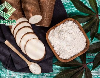 Exporting Cassava Starch to Senegal