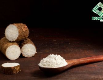 Reliable Tapioca Starch Supplier for the West African Market