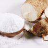Vietnamese Cassava Starch Exported to Southeast Asia