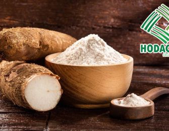 Cassava Starch in the Production of Eco-Friendly Packaging