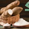 Cassava Starch and Value Addition in the Modern Manufacturing Chain
