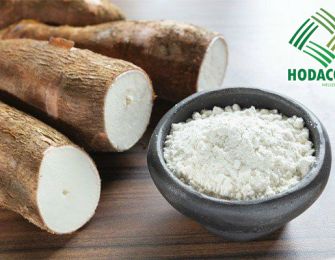 Cassava Starch and Solutions to Reduce Dependence on Petrochemical Raw Materials