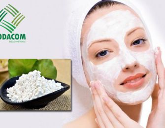 The Benefits of Cassava Starch for Health and Beauty