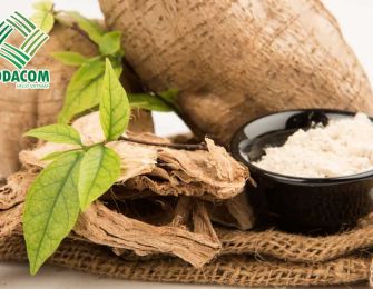 Cassava Starch as a Raw Material for Cake Production