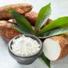 Vietnamese Cassava Starch in the International Market