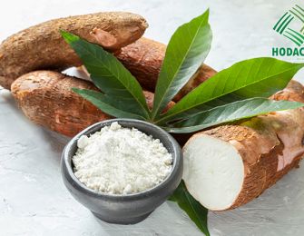Vietnamese Cassava Starch in the International Market