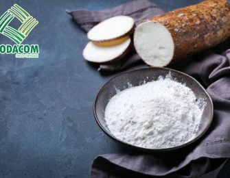Effective Strategies for Developing the Cassava Starch Market