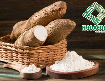 Why Businesses Prefer Using Cassava Starch