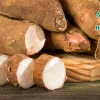 Is Cassava Starch Suitable for Industrial Production?