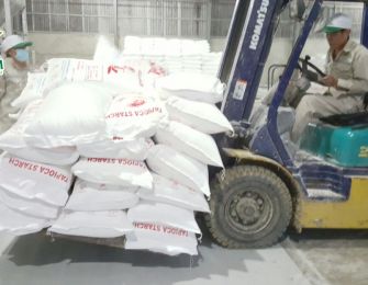 Sustainable Development of the Cassava Starch Industry