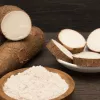 Cassava Starch in the Global Supply Chain