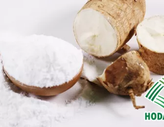 Benefits of Using Cassava Starch in Production