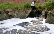 Nghị định về xử phạt vi phạm hành chính trong lĩnh vực bảo vệ môi trường﻿