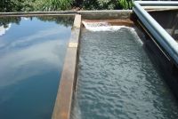 Hệ thống xử lý nước thải sinh hoạt