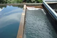 Hệ thống xử lý nước thải sinh hoạt