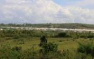 "Phớt lờ" lệnh tỉnh, Cty Green Farm Asia "cố tình" xả thải