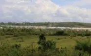 "Phớt lờ" lệnh tỉnh, Cty Green Farm Asia "cố tình" xả thải