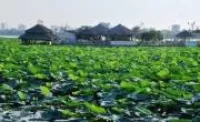 Hà Nội nghiên cứu nạo vét 1,2 triệu tấn bùn hồ Tây