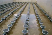 XỬ LÝ NƯỚC THẢI BẰNG CÔNG NGHỆ BỂ HIẾU KHÍ (AEROTANK)