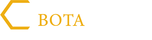 Bota.vn - Giao diện web00405