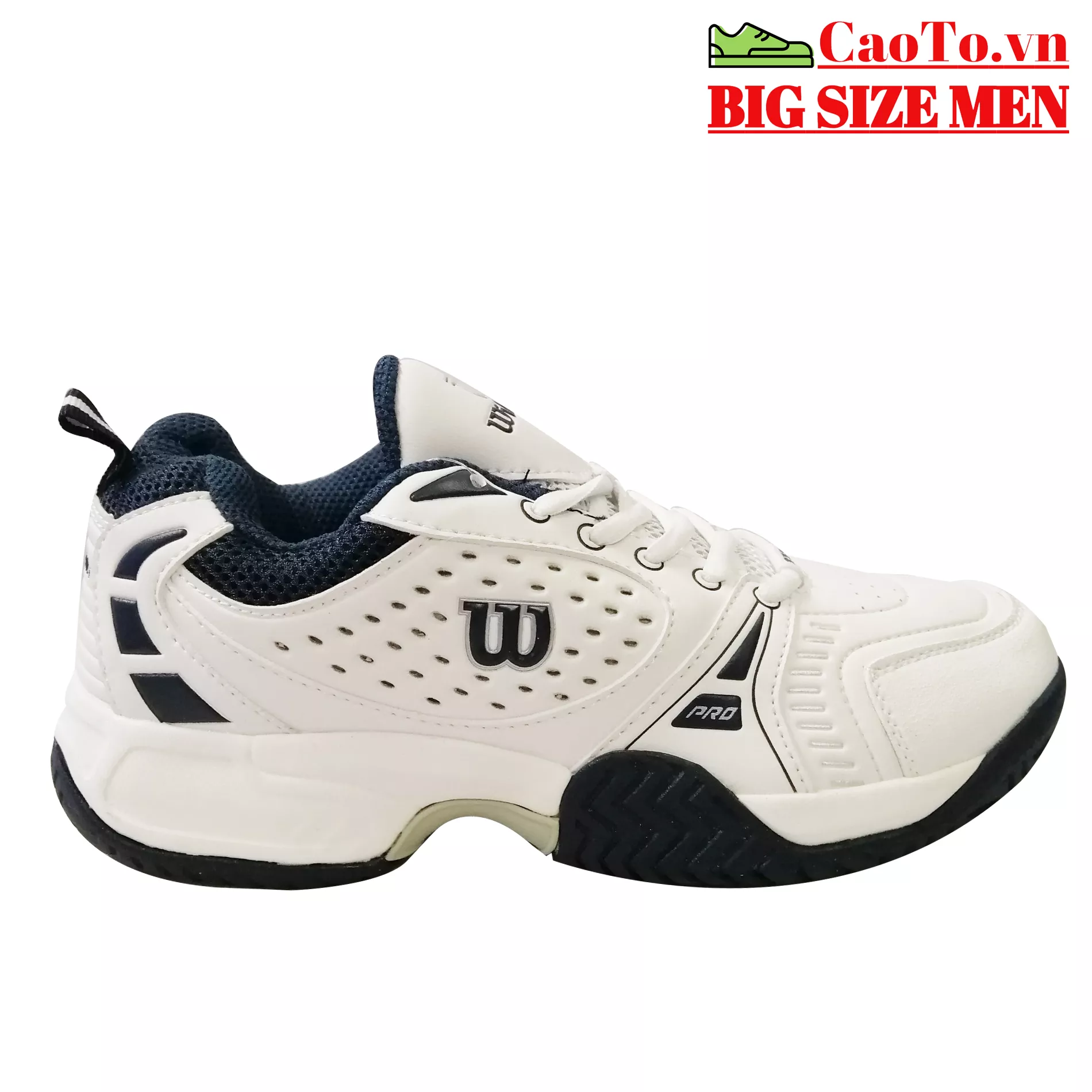 GIÀY TENNIS WILSON BIG SIZE
