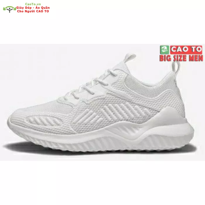 Giày Sneaker full trắng nam size lớn 45,46,47,48,49