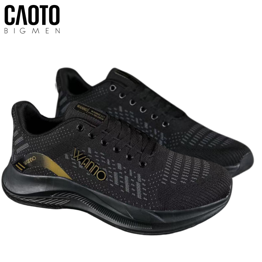 https://ahacaoto.com/products/giay-the-thao-winno-full-den-big-size