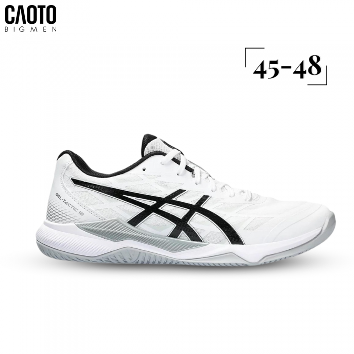 Giày bóng chuyền Asics Gel-Tactic 12 Big Size