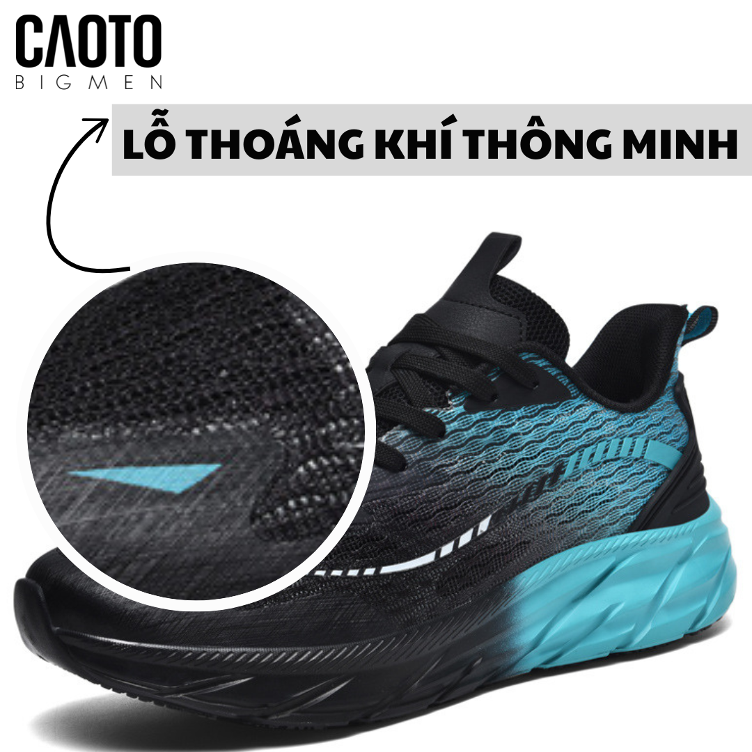 imgi_62_caoto_f62fdb272b0144969ec06e0b0f3a1f8f