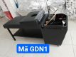gdn1