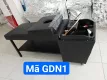 gdn1