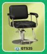 GTS35