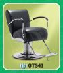 GTS41
