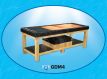 GDM4