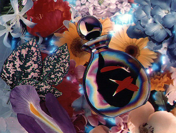 Top Nước Hoa Nữ 2016