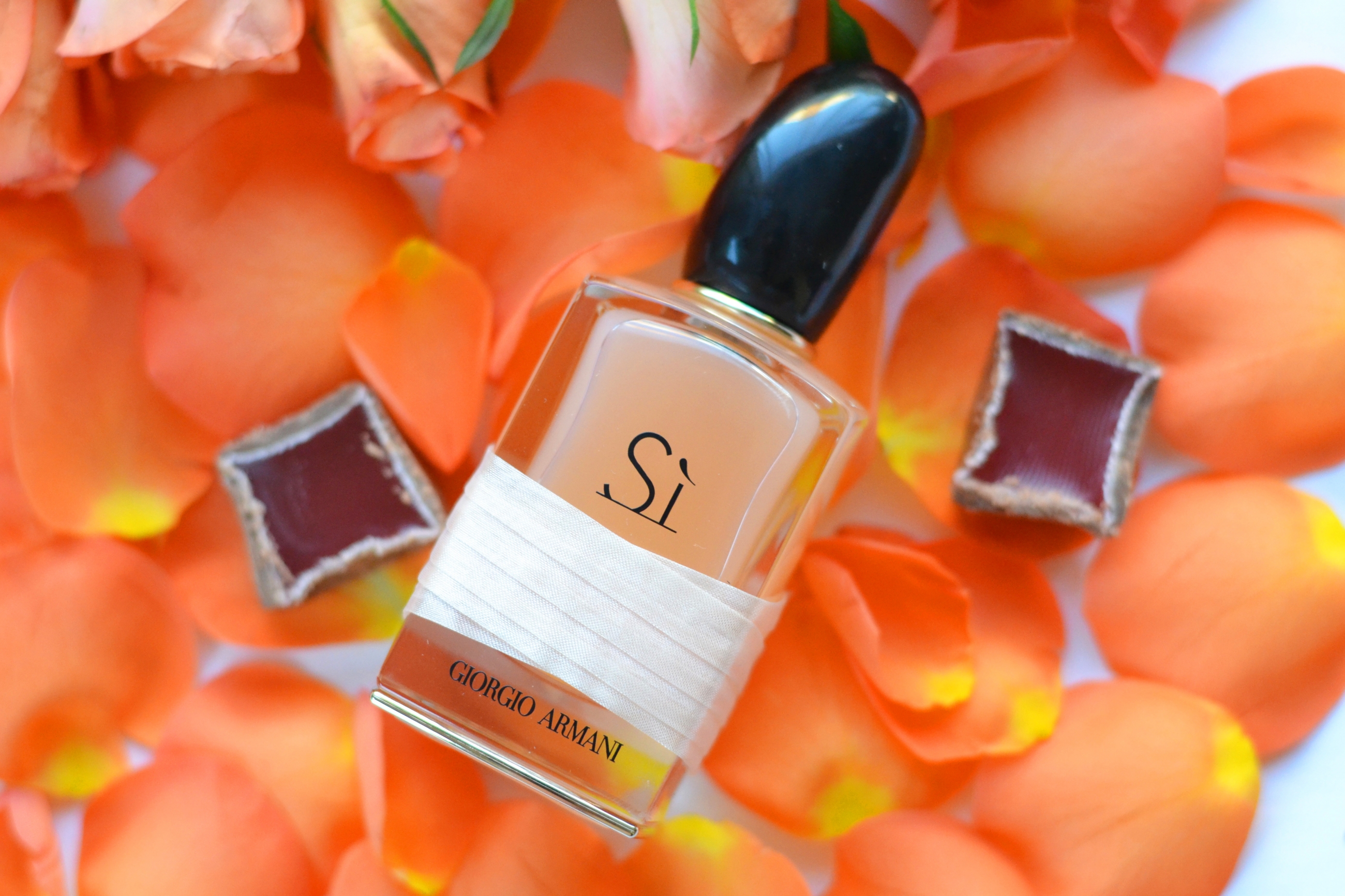 Paris Cosmopolite 2016