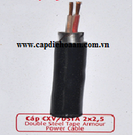 Cáp CXV-DSTA 2x2.5-Cadivi