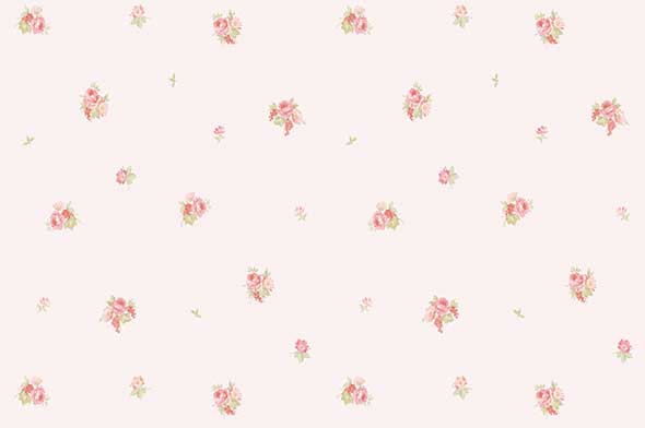 Giấy dán tường Hàn Quốc Classico 88052