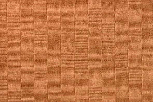 Giay-dan-tuong-Nhat-Ban-RF3100-6