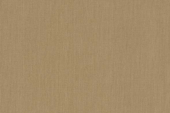 Giấy dán tường Nhật Bản FE3753