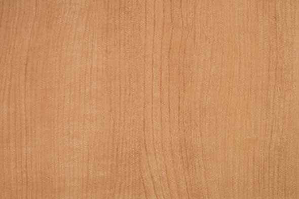 Giấy dán tường Nhật Bản-RF8301