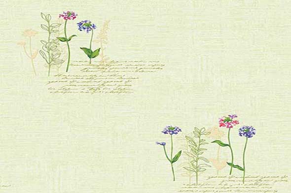 Giay-dan-tuong-Han-Quoc-Bos-59263-2