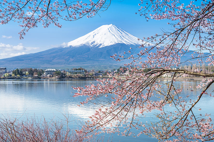 Hướng dẫn thi công giấy dán tường