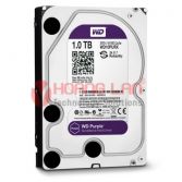 Ổ Cứng HDD Western 1TB SATA - Purple