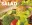 Salad 1
