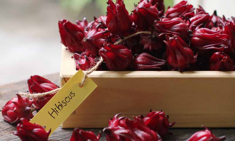 CÁCH LÀM MỨT ATISO