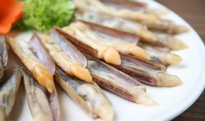 Ngao biển sống