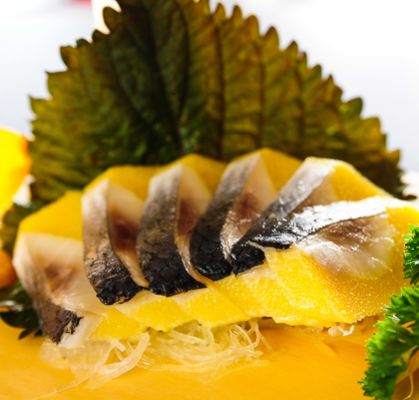 Bạch tuộc sống