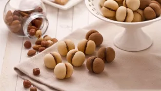 Bánh kẹp chocolate