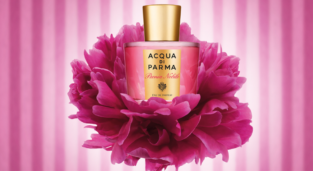 BNC PERFUME